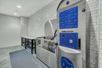 Dog run and pet wash station